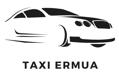 logo taxiermua negro