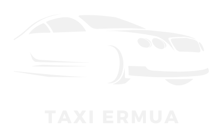 logo blanco taxi ermua